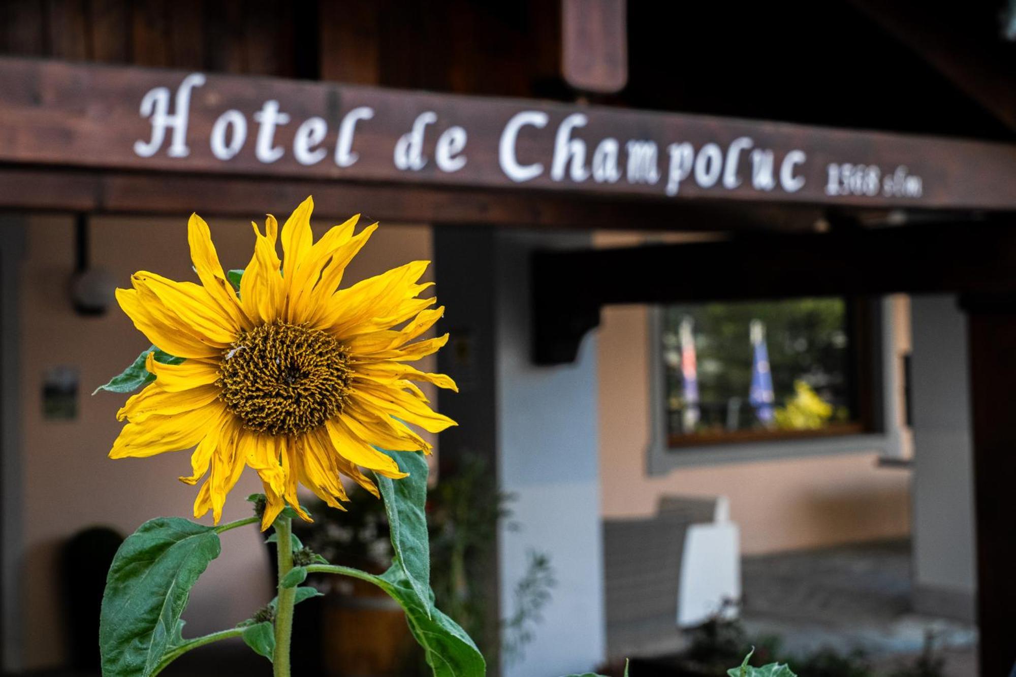 Hotel De Камполук Экстерьер фото